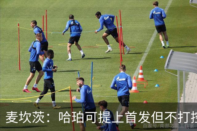 麦坎茨：哈珀可提上首发但不打控卫 建议马刺留福克斯打五小